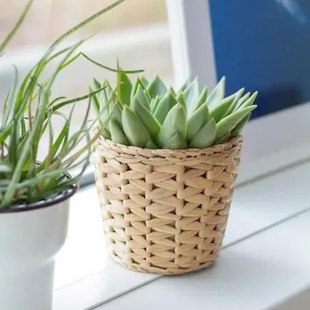 דירה Free Garage Parking!!! Stylish Getaway In Prime Location - By The Danube And Old Town *