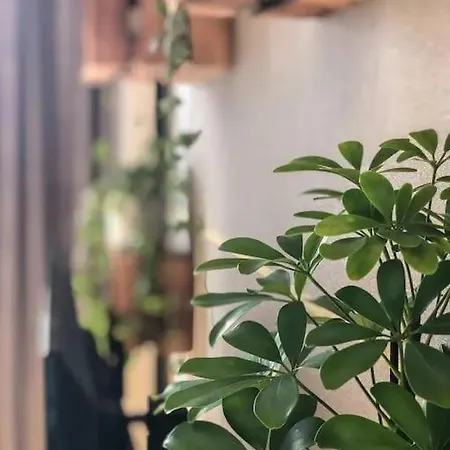 דירה Free Garage Parking!!! Stylish Getaway In Prime Location - By The Danube And Old Town ברטיסלאבה