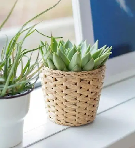 Apartament Free Garage Parking!!! Stylish Getaway In Prime Location - By The Danube And Old Town *