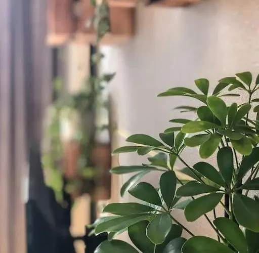 Apartmán Free Garage Parking!!! Stylish Getaway In Prime Location - By The Danube And Old Town Bratislava